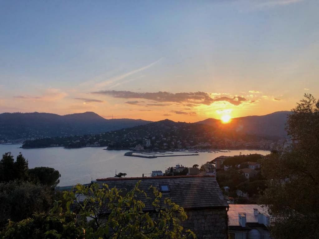 Tra Sole & Mare Daire Zoagli Dış mekan fotoğraf