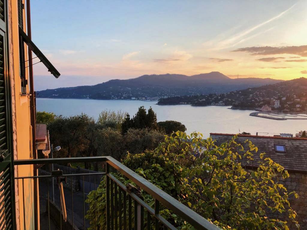 Tra Sole & Mare Daire Zoagli Dış mekan fotoğraf
